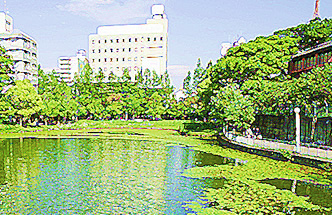 天王寺(天王寺区、阿倍野区)の風景